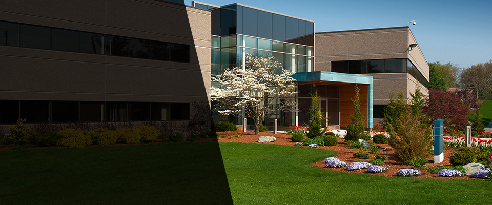 Montverde Landscapers