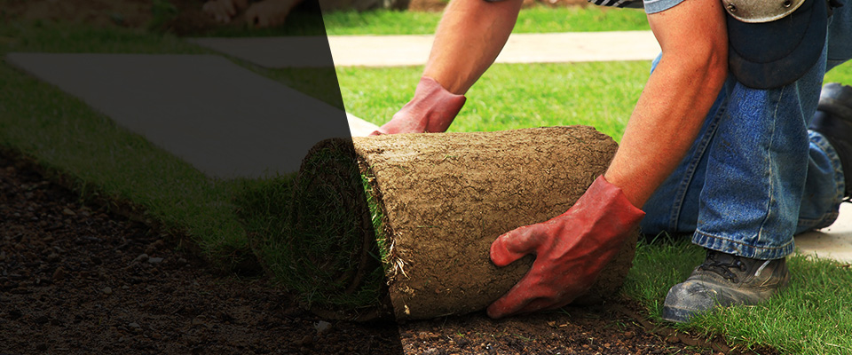 Montverde Landscapers